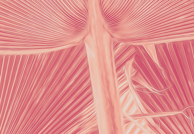 Canvas Print Pink palm - overexposed image of palm leaves in pink 134991 additionalImage 5