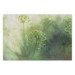 Poster May Meadow - green composition of meadow and flowers in bright light 135791