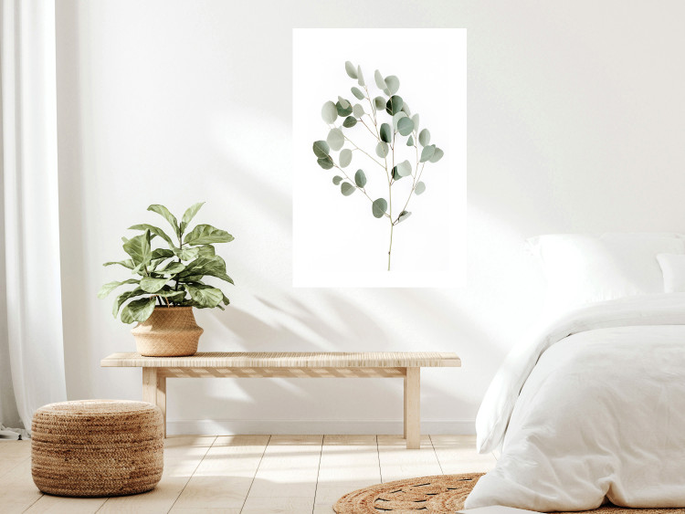 Wall Poster Silver Eucalyptus - simple composition with green leaves on a white background 137491 additionalImage 17