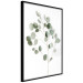 Wall Poster Silver Eucalyptus - simple composition with green leaves on a white background 137491 additionalThumb 24