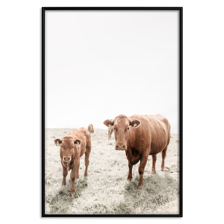 Wall Poster Mother and Calf - domestic animals against a rural landscape 137691 additionalImage 6