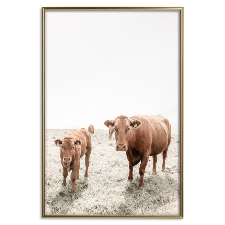 Wall Poster Mother and Calf - domestic animals against a rural landscape 137691 additionalImage 4