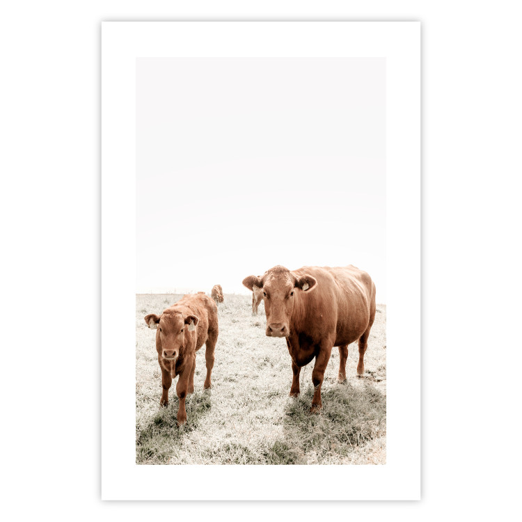 Wall Poster Mother and Calf - domestic animals against a rural landscape 137691 additionalImage 7