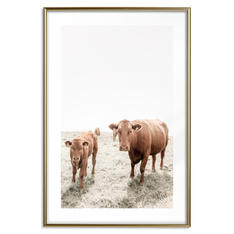 Wall Poster Mother and Calf - domestic animals against a rural landscape 137691 additionalImage 4