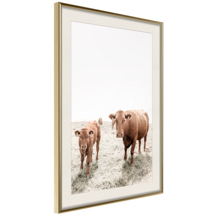 Wall Poster Mother and Calf - domestic animals against a rural landscape 137691 additionalImage 19