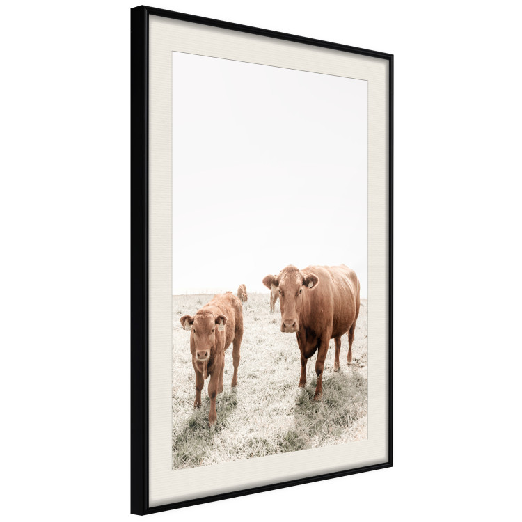 Wall Poster Mother and Calf - domestic animals against a rural landscape 137691 additionalImage 20