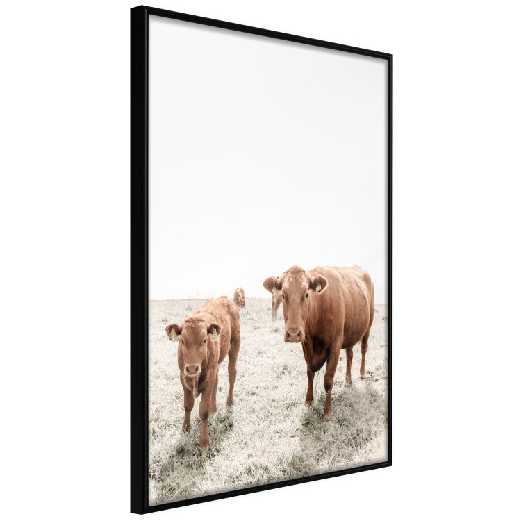 Wall Poster Mother and Calf - domestic animals against a rural landscape 137691 additionalImage 15