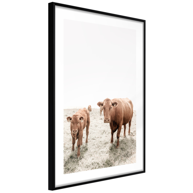 Wall Poster Mother and Calf - domestic animals against a rural landscape 137691 additionalImage 21