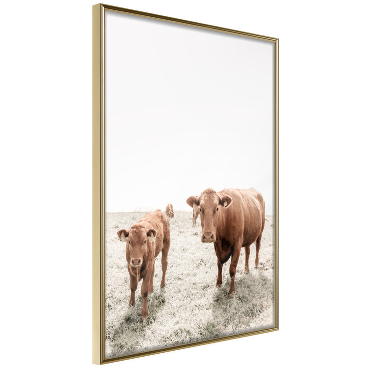 Wall Poster Mother and Calf - domestic animals against a rural landscape 137691 additionalImage 16