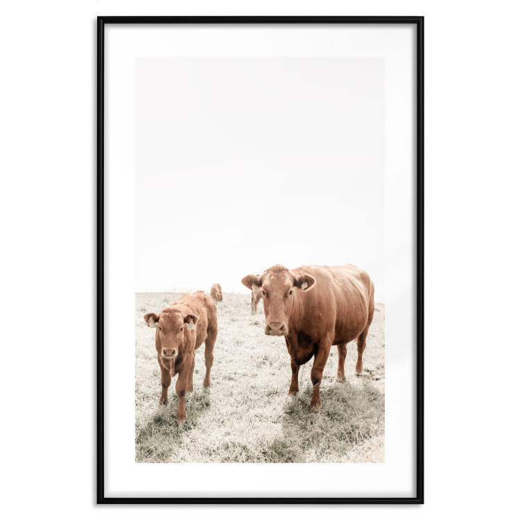 Wall Poster Mother and Calf - domestic animals against a rural landscape 137691 additionalImage 5