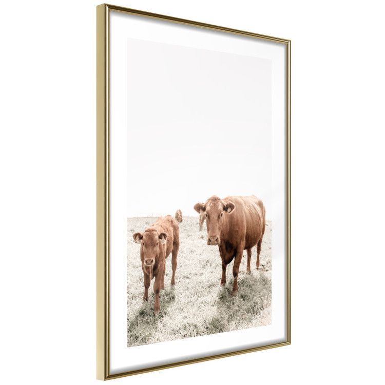 Wall Poster Mother and Calf - domestic animals against a rural landscape 137691 additionalImage 27