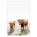 Wall Poster Mother and Calf - domestic animals against a rural landscape 137691