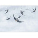 Photo Wallpaper Birds in flight - animals on a background of calm sky in shades of blue 143791 additionalThumb 3