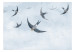 Photo Wallpaper Birds in flight - animals on a background of calm sky in shades of blue 143791 additionalThumb 1