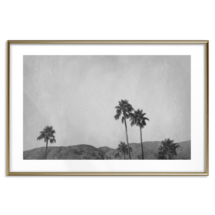 Poster Hot Summer - black and white landscape with palm trees against a mountain range 116502 additionalImage 14