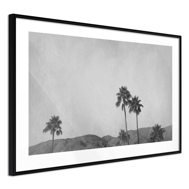 Poster Hot Summer - black and white landscape with palm trees against a mountain range 116502 additionalImage 11