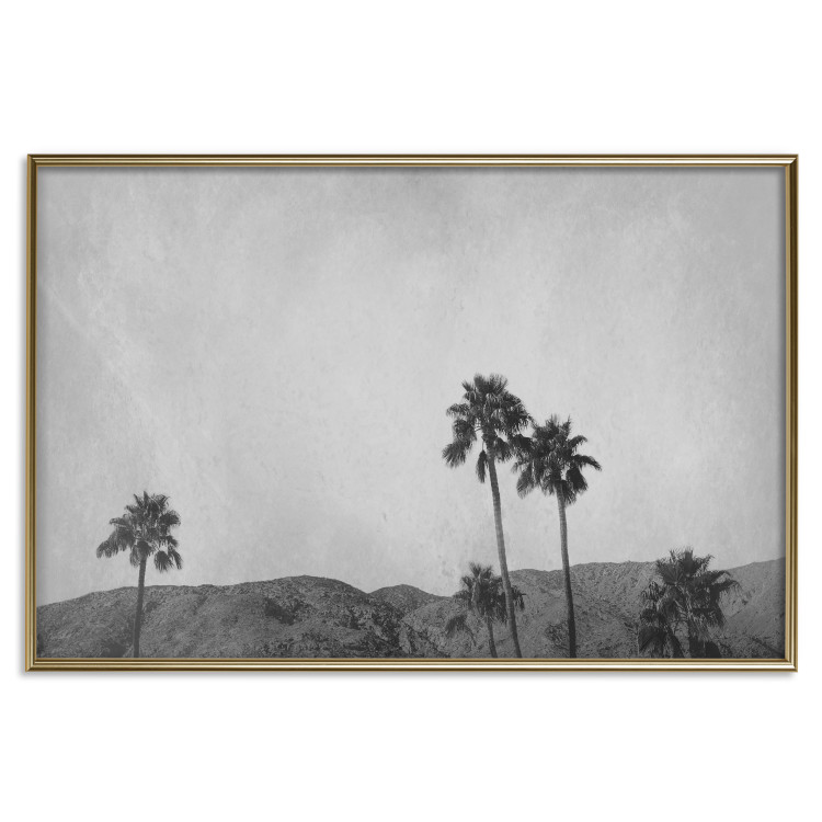 Poster Hot Summer - black and white landscape with palm trees against a mountain range 116502 additionalImage 16