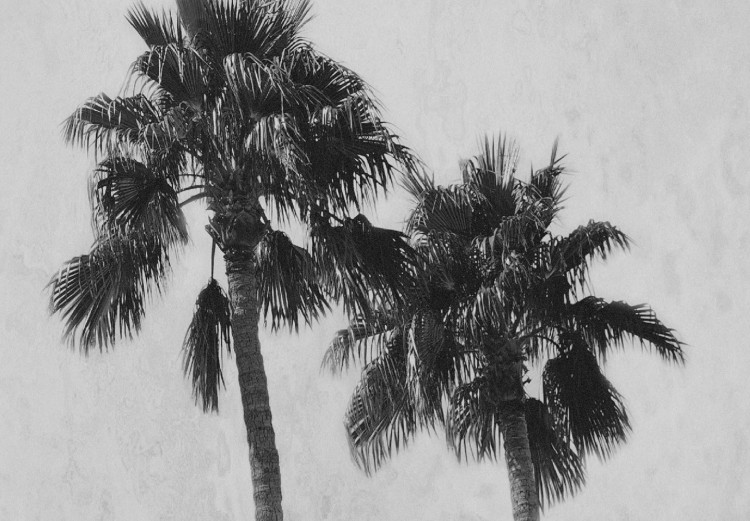 Poster Hot Summer - black and white landscape with palm trees against a mountain range 116502 additionalImage 9