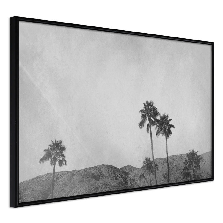Poster Hot Summer - black and white landscape with palm trees against a mountain range 116502 additionalImage 10