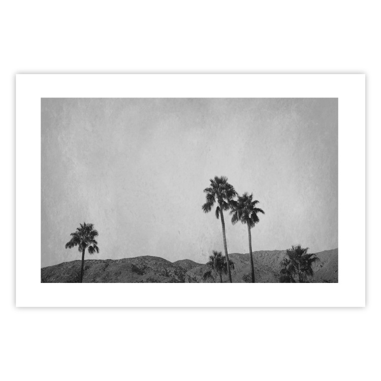 Poster Hot Summer - black and white landscape with palm trees against a mountain range 116502 additionalImage 19