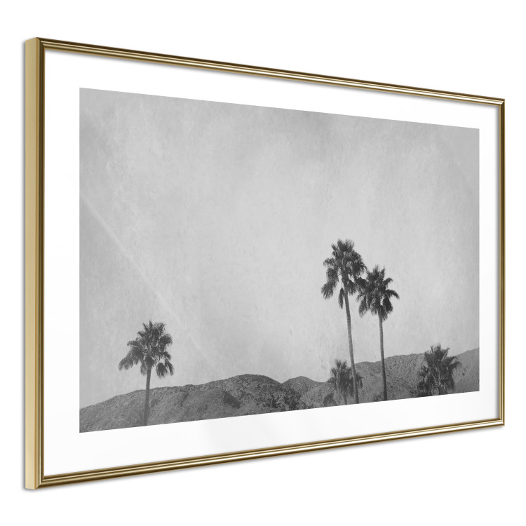 Poster Hot Summer - black and white landscape with palm trees against a mountain range 116502 additionalImage 6