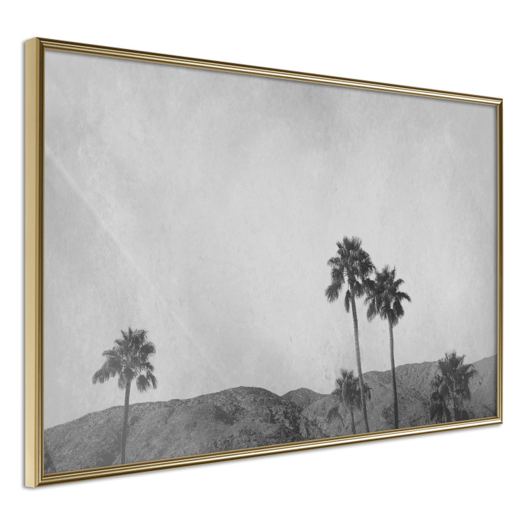 Poster Hot Summer - black and white landscape with palm trees against a mountain range 116502 additionalImage 12