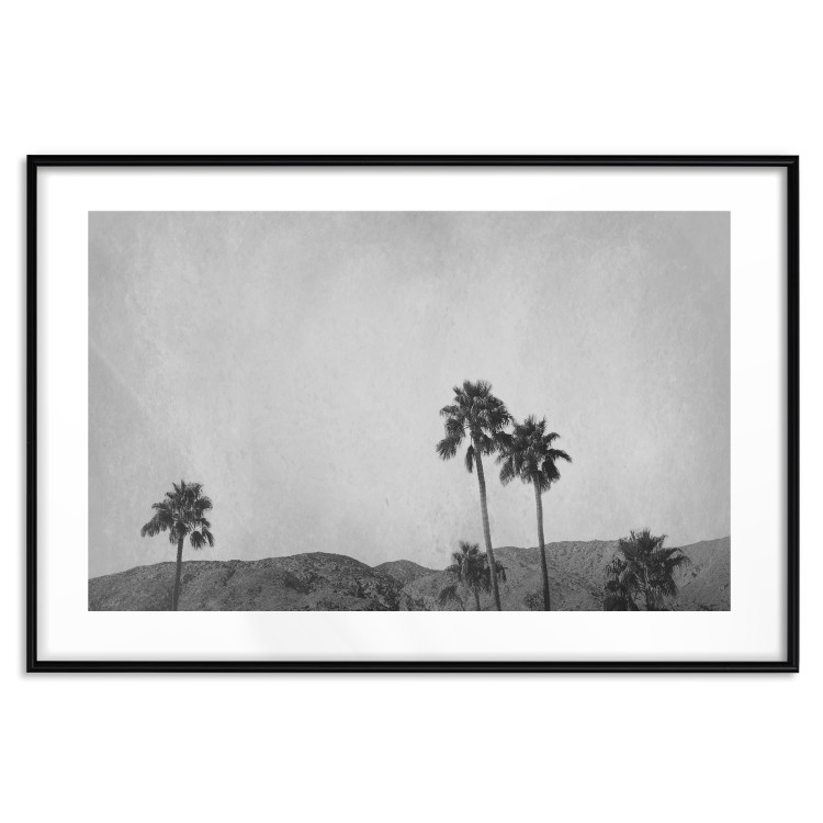 Poster Hot Summer - black and white landscape with palm trees against a mountain range 116502 additionalImage 15