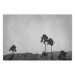 Poster Hot Summer - black and white landscape with palm trees against a mountain range 116502