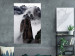 Poster Rocks in the Clouds - Scandinavian landscape with mountains in fog 118502 additionalThumb 17