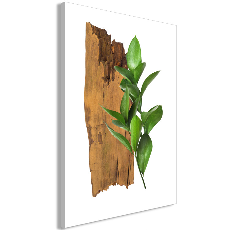 Canvas Print Plant zodiac: Sagittarius - minimalist, botanical composition 122602 additionalImage 2