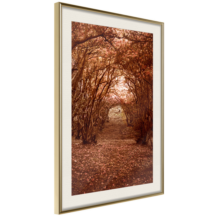 Wall Poster Fulfilled Dreams - autumn forest landscape with falling leaves 123902 additionalImage 2