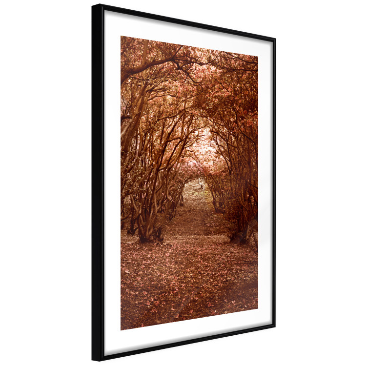 Wall Poster Fulfilled Dreams - autumn forest landscape with falling leaves 123902 additionalImage 11