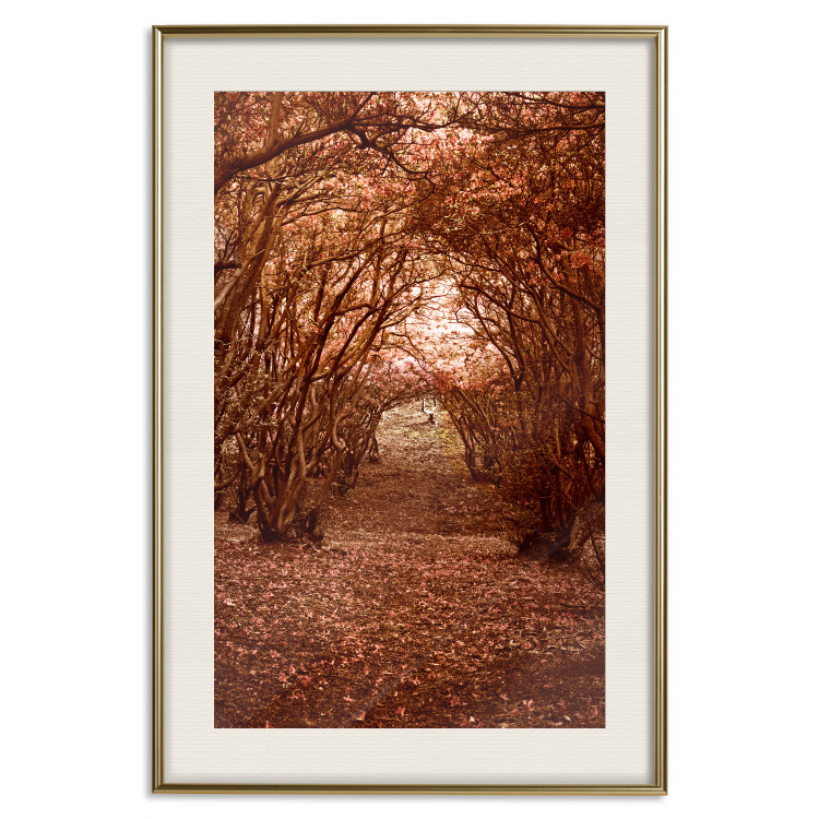 Wall Poster Fulfilled Dreams - autumn forest landscape with falling leaves 123902 additionalImage 19