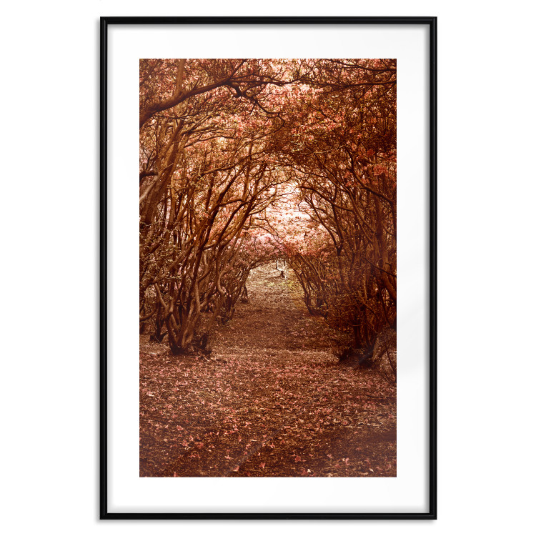 Wall Poster Fulfilled Dreams - autumn forest landscape with falling leaves 123902 additionalImage 15