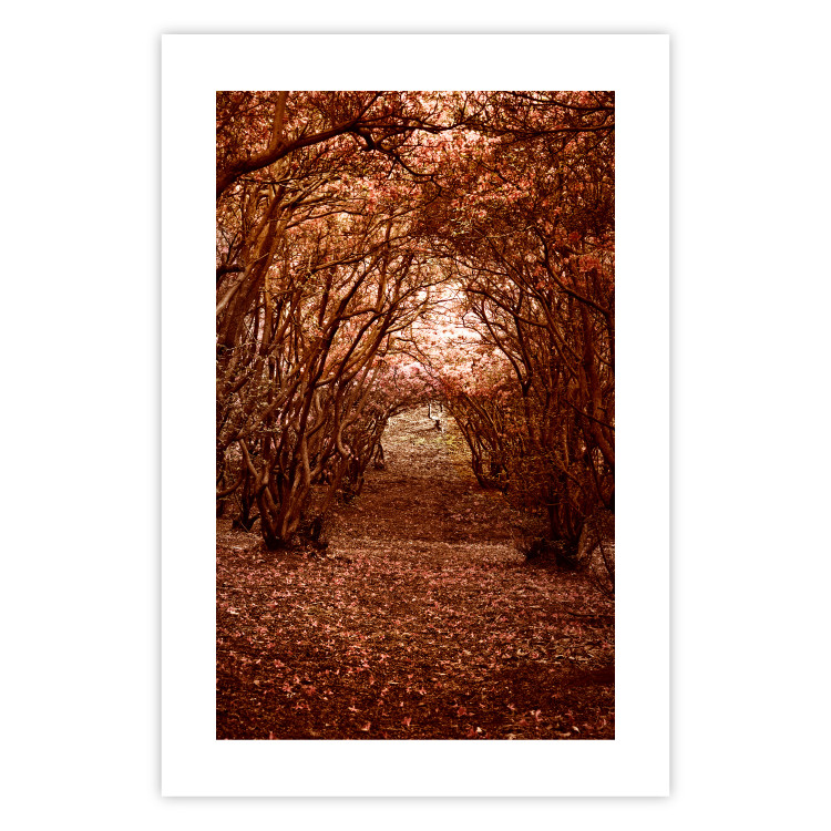 Wall Poster Fulfilled Dreams - autumn forest landscape with falling leaves 123902 additionalImage 25
