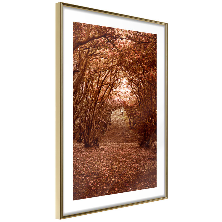 Wall Poster Fulfilled Dreams - autumn forest landscape with falling leaves 123902 additionalImage 8