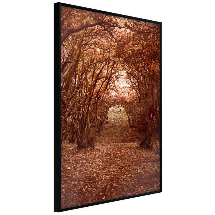 Wall Poster Fulfilled Dreams - autumn forest landscape with falling leaves 123902 additionalImage 12