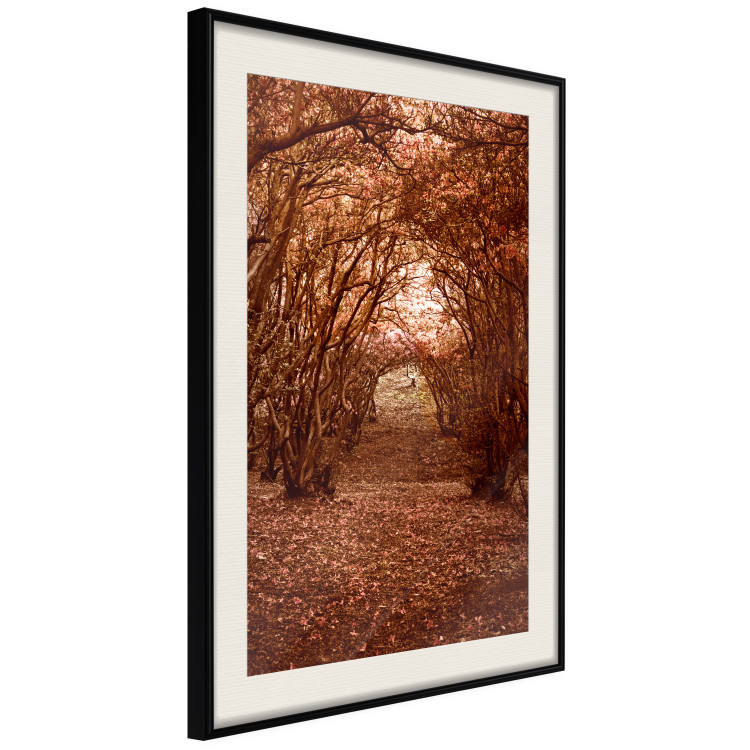 Wall Poster Fulfilled Dreams - autumn forest landscape with falling leaves 123902 additionalImage 3