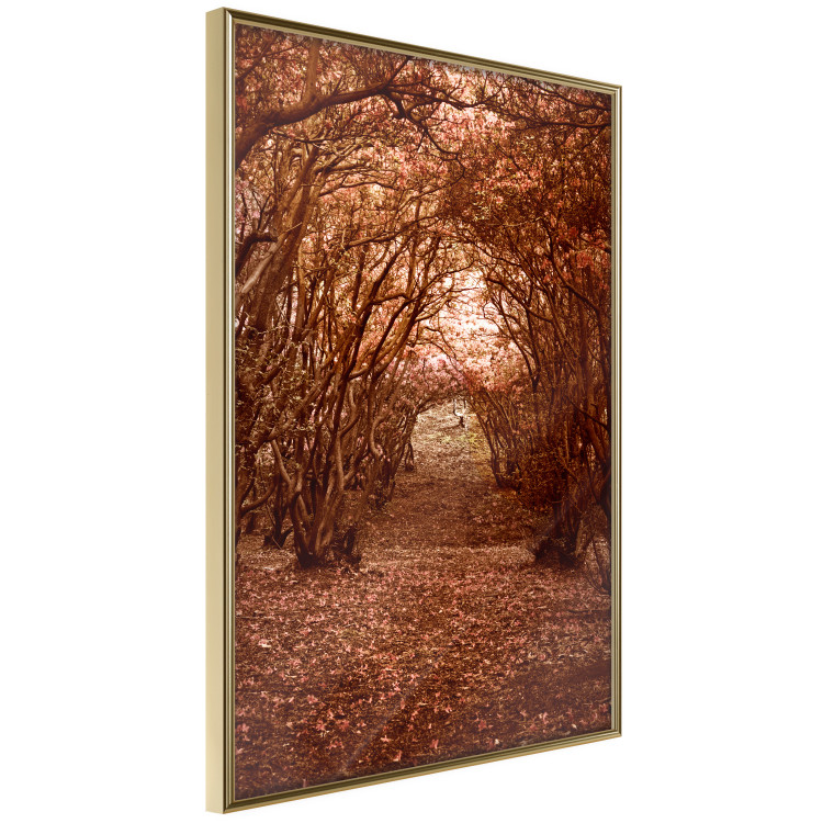 Wall Poster Fulfilled Dreams - autumn forest landscape with falling leaves 123902 additionalImage 14
