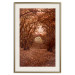 Wall Poster Fulfilled Dreams - autumn forest landscape with falling leaves 123902 additionalThumb 19