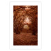 Wall Poster Fulfilled Dreams - autumn forest landscape with falling leaves 123902 additionalThumb 19