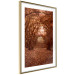 Wall Poster Fulfilled Dreams - autumn forest landscape with falling leaves 123902 additionalThumb 6