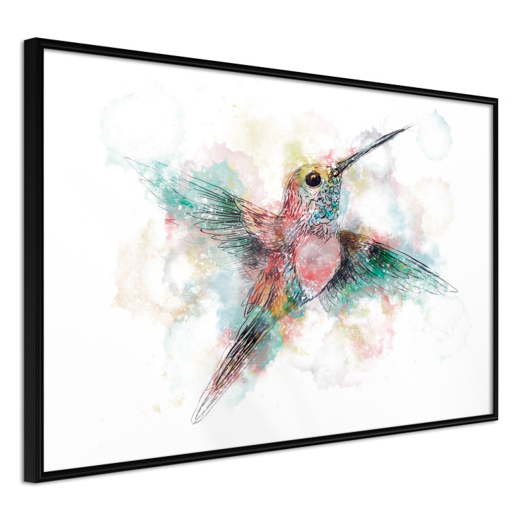 Wall Poster Colorful Hummingbird [Poster] 143502 additionalImage 25