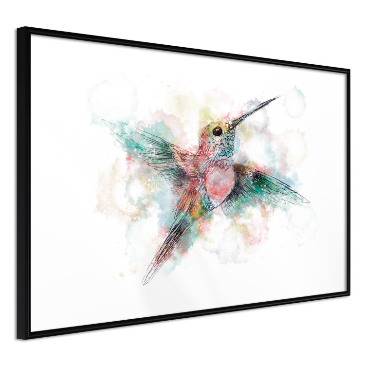 Wall Poster Colorful Hummingbird [Poster] 143502 additionalImage 26