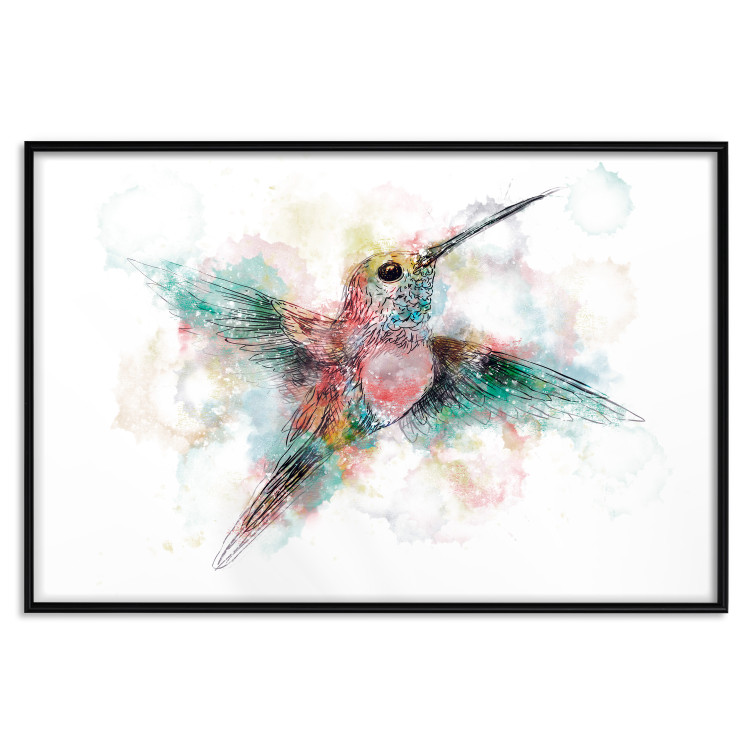 Wall Poster Colorful Hummingbird [Poster] 143502 additionalImage 11