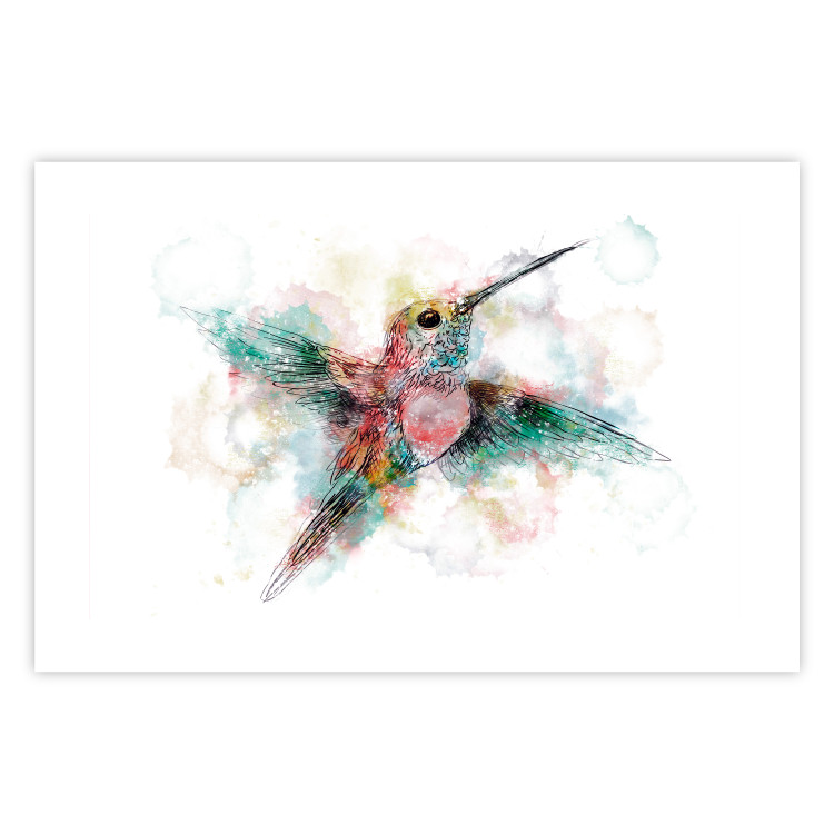 Wall Poster Colorful Hummingbird [Poster] 143502 additionalImage 14