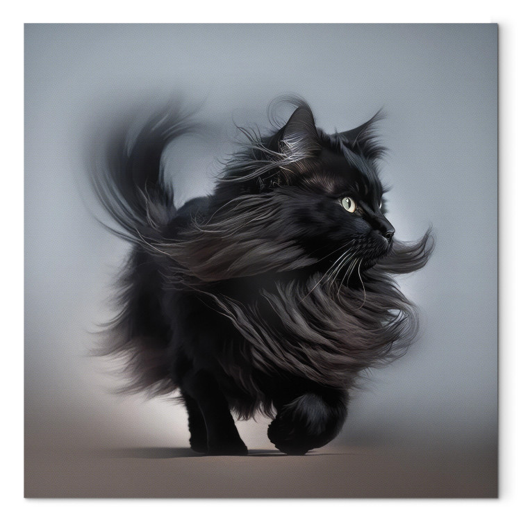 Canvas AI Maine Coon Cat - Walking Animal With Long Black Hair - Square 150202 additionalImage 7