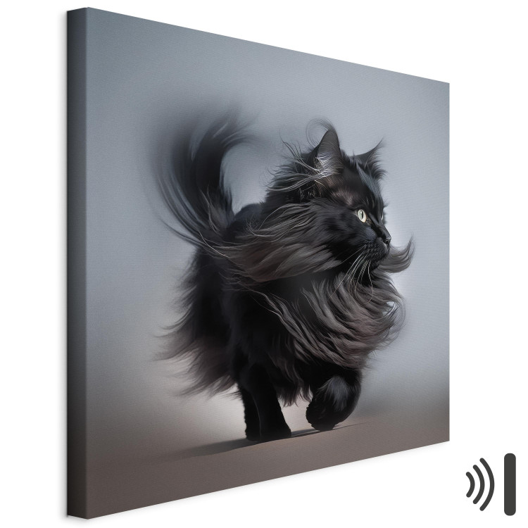Canvas AI Maine Coon Cat - Walking Animal With Long Black Hair - Square 150202 additionalImage 8