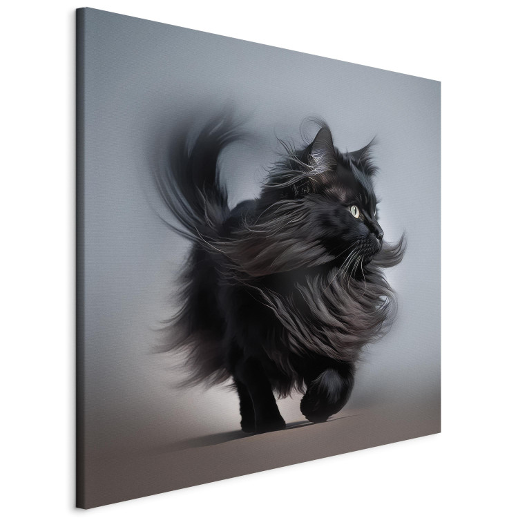 Canvas AI Maine Coon Cat - Walking Animal With Long Black Hair - Square 150202 additionalImage 2
