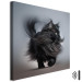 Canvas AI Maine Coon Cat - Walking Animal With Long Black Hair - Square 150202 additionalThumb 8